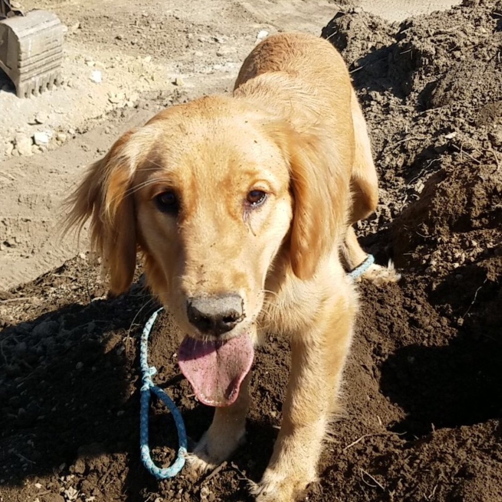 Meet your Posher, Aaron